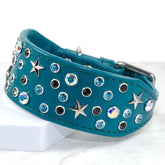 Starry Night Star Studded Whippet by Petiquette